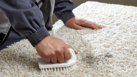 Professional Rug Cleaning Kingsbury